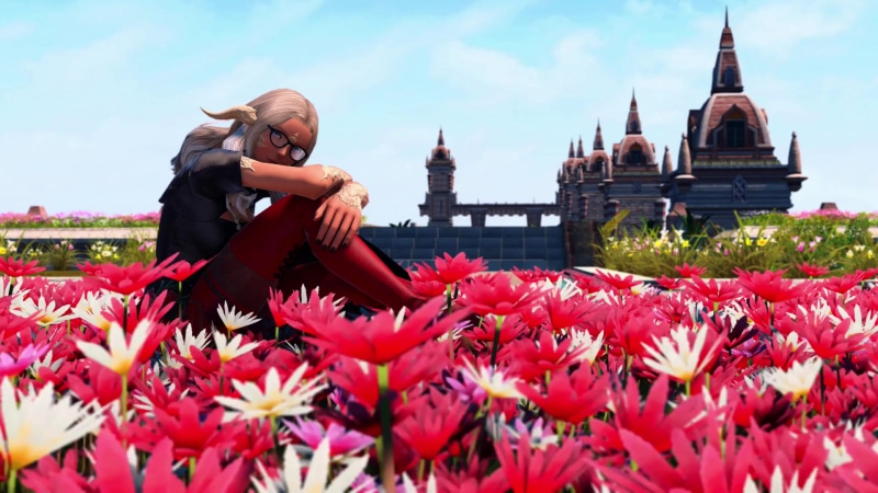 Girl in a field of flowers Live Wallpaper