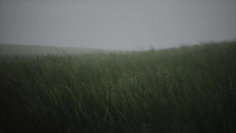 Wavy Grass Live Wallpaper