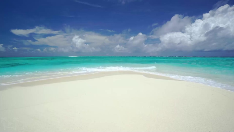 Tropical Beach Waves Hawaii Live Wallpaper