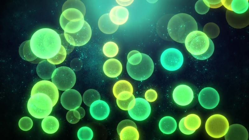 Green Natural Watercolor Textures And Circles Live Wallpaper