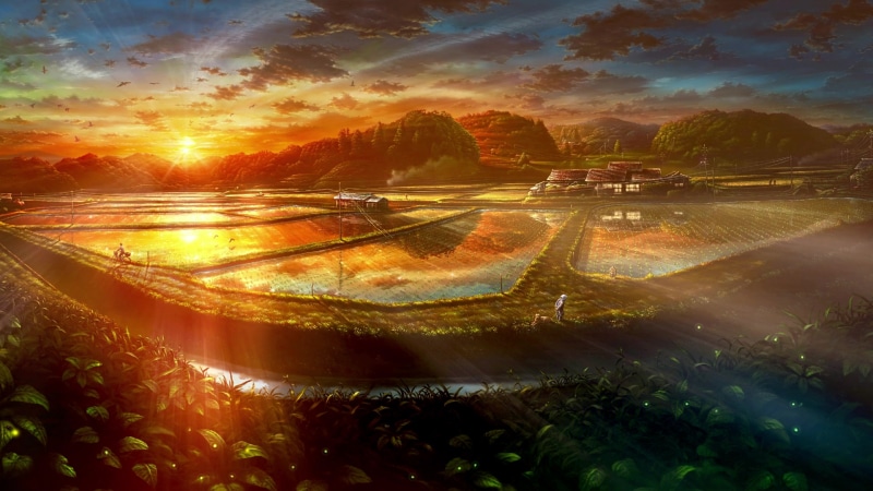 Paddy Fields Live Wallpaper