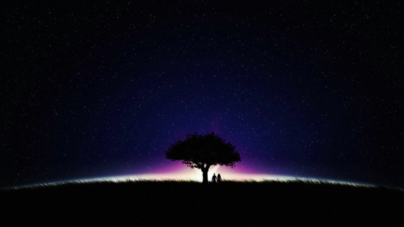 Just the Two of Us Live Wallpaper