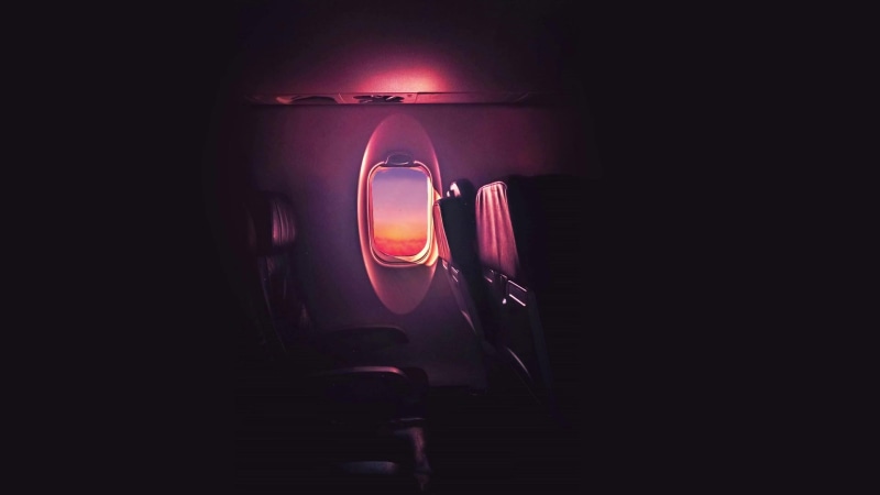 Evening Flight Live Wallpaper