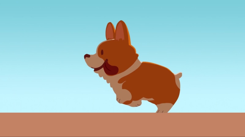 Cute Corgi Run Live Wallpaper