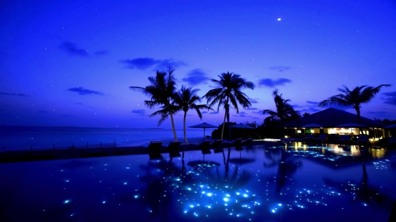 Nightfall Tropical Resort Live Wallpaper