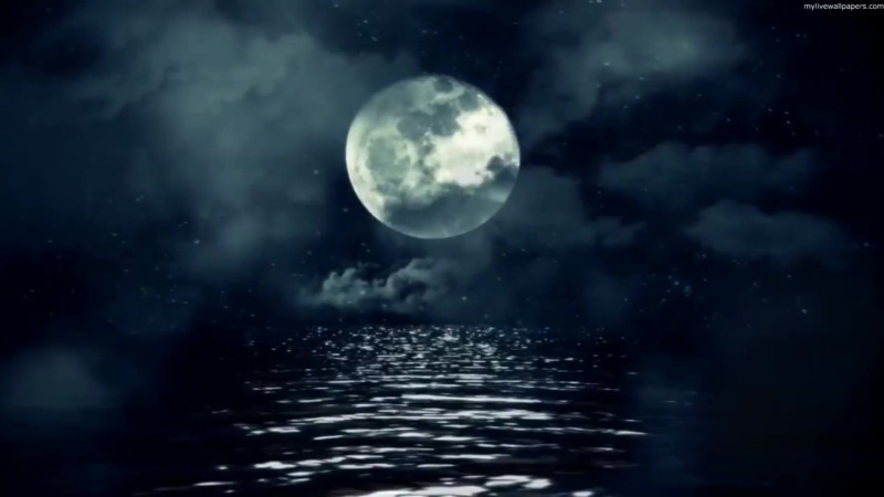 Full Moon Ocean Live Wallpaper