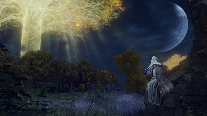 Elden Ring Ranni Quest Live Wallpaper