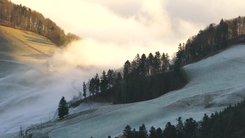 Wave Of Fog mystical fog Live Wallpaper