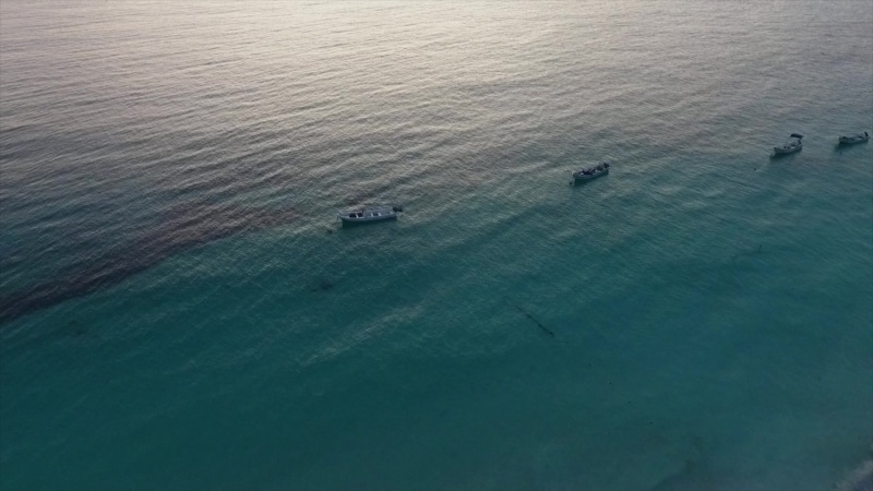 Fishermen Resting, Sea, Boats Live Wallpaper