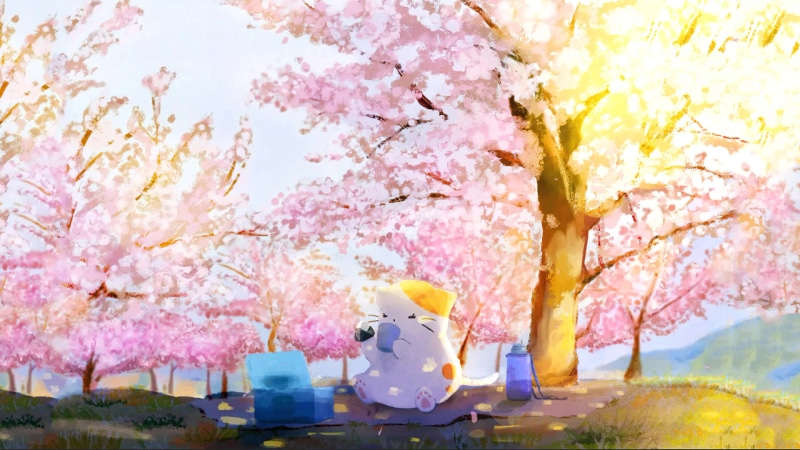 Alone Cat And Cherry Blossom Live Wallpaper