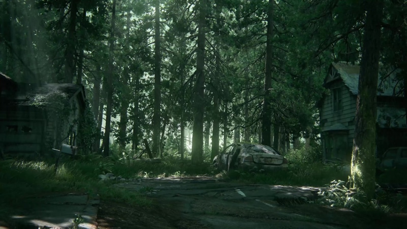 The Last of Us Part 2 Live Wallpaper