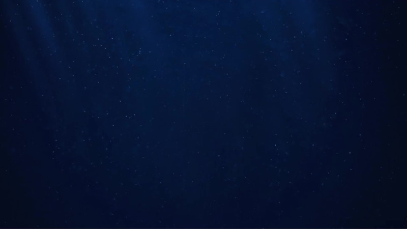 Relaxing Ocean JellyFish Live Wallpaper