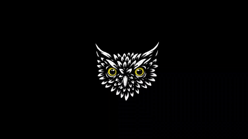 Animated Owl Head Live Wallpaper