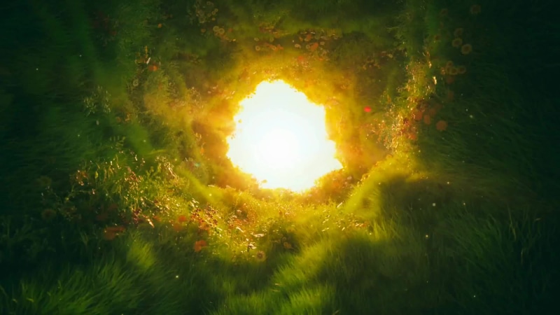 Holy Hole Live Wallpaper