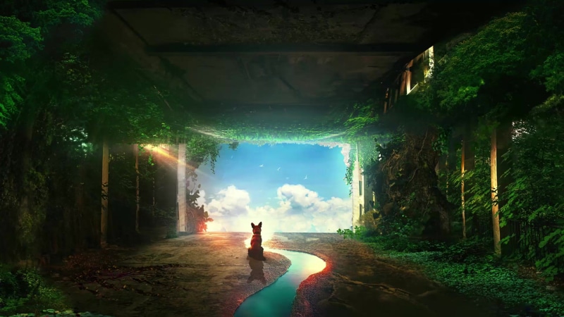 Lonely Dog, dog, room, time, planet, aluren, forest, grass, home, second, nice, space Live Wallpaper