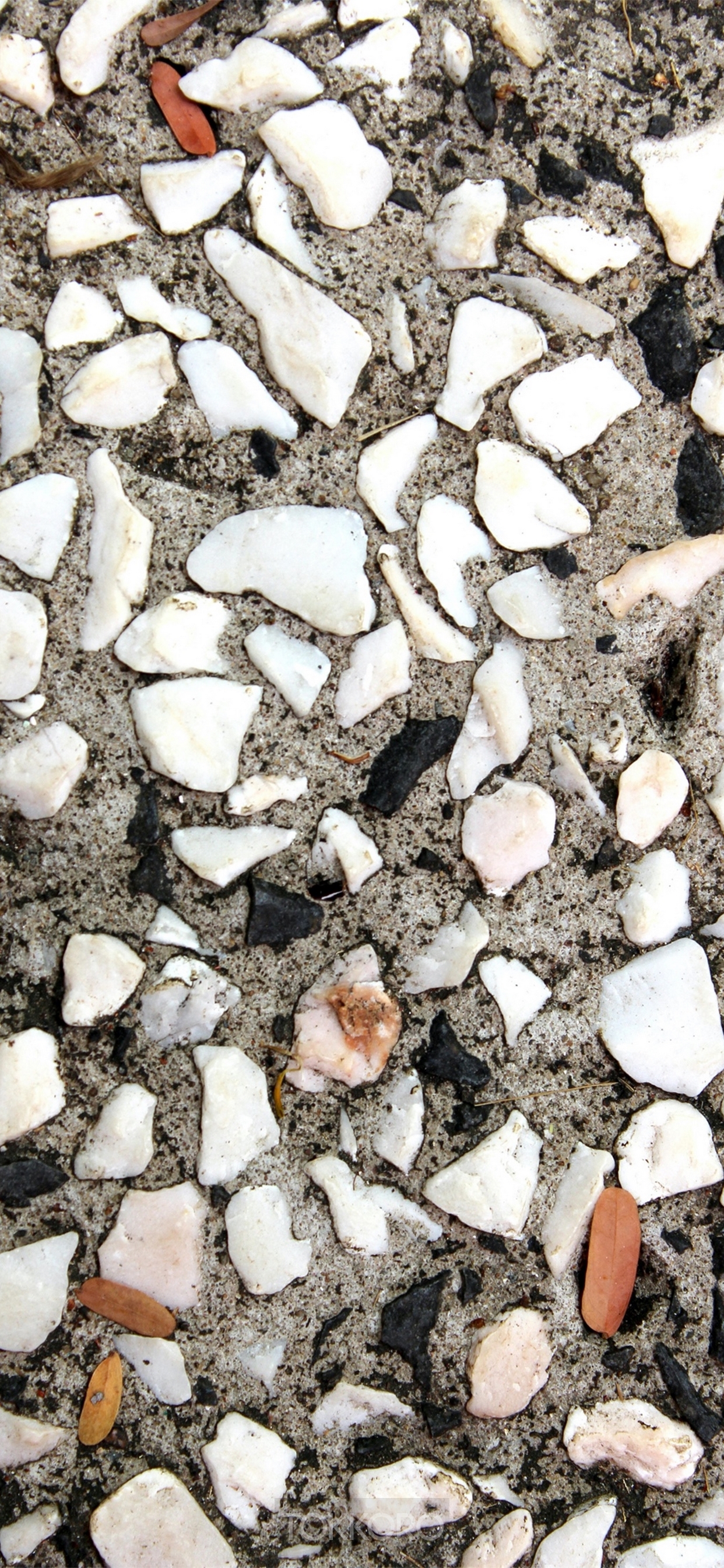 Close-up of terrazzo flooring with white and black stones HD Phone Wallpaper