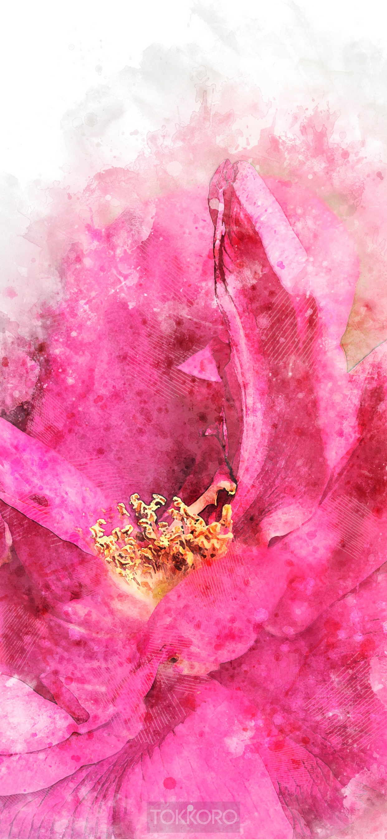 Pink flower watercolor painting HD Phone Wallpaper