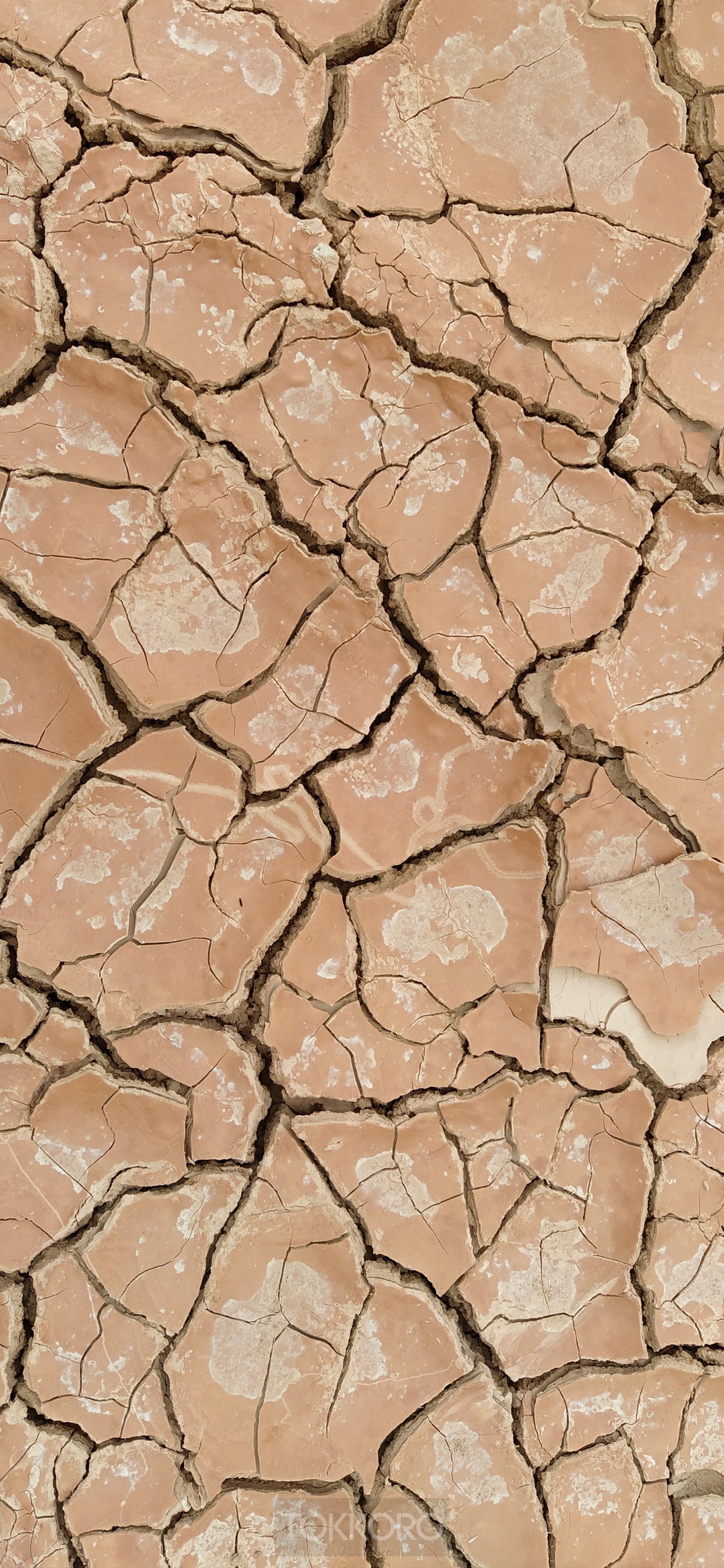 Cracked dry earth texture HD Phone Wallpaper
