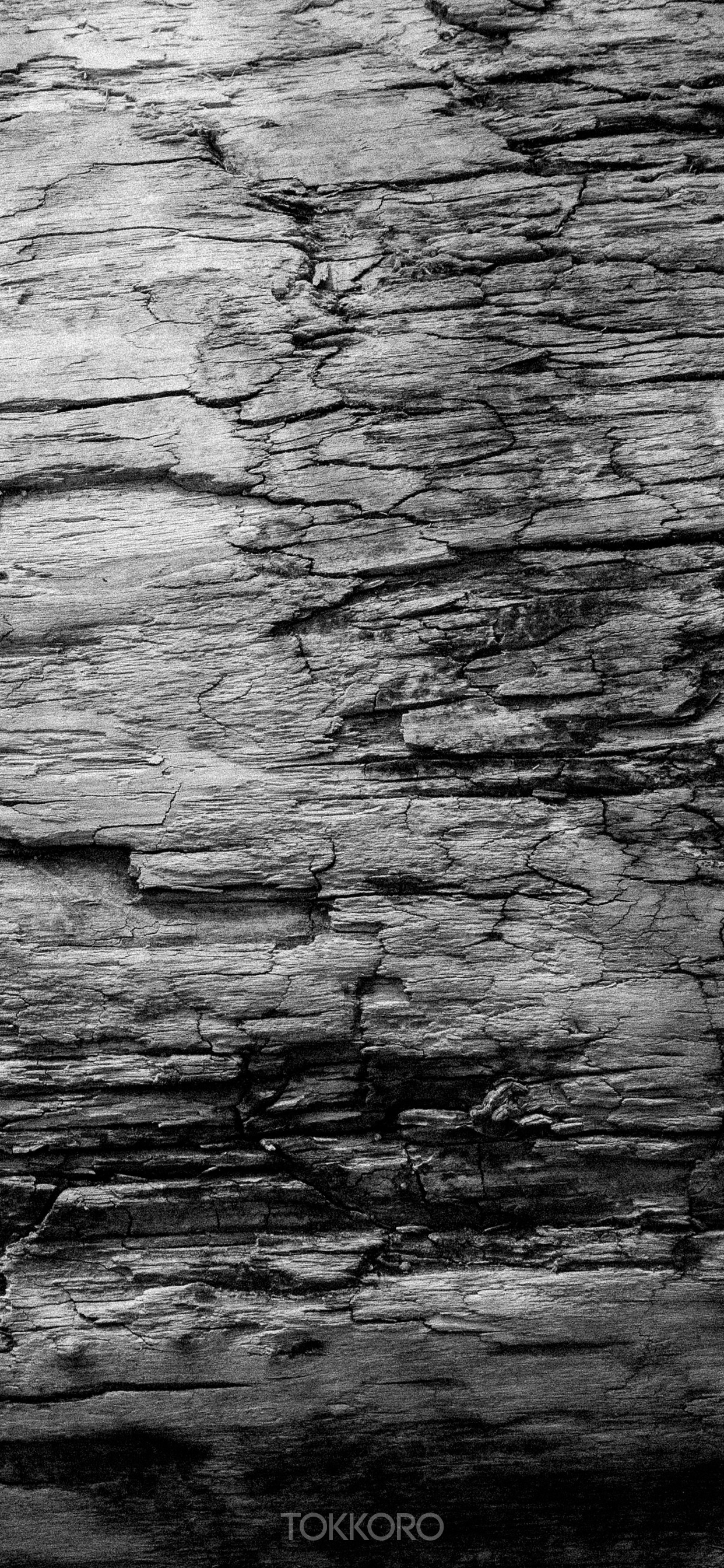 Close-up of weathered wood texture HD Phone Wallpaper