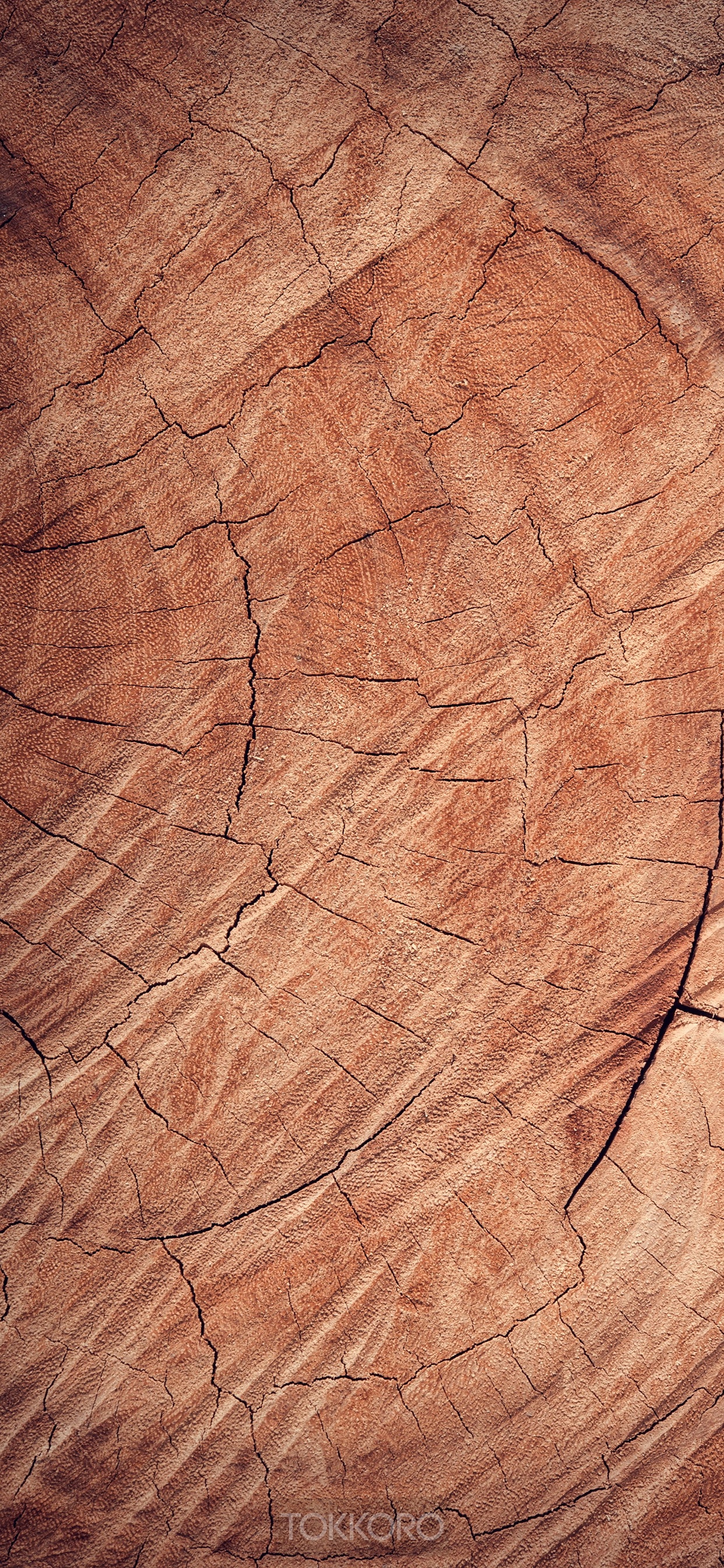 Close-up of a cracked wood texture HD Phone Wallpaper
