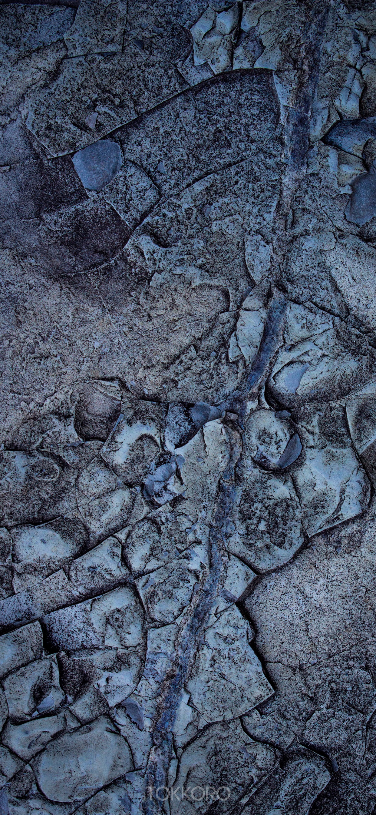 Close-up of a textured rock surface with blue veins HD Phone Wallpaper