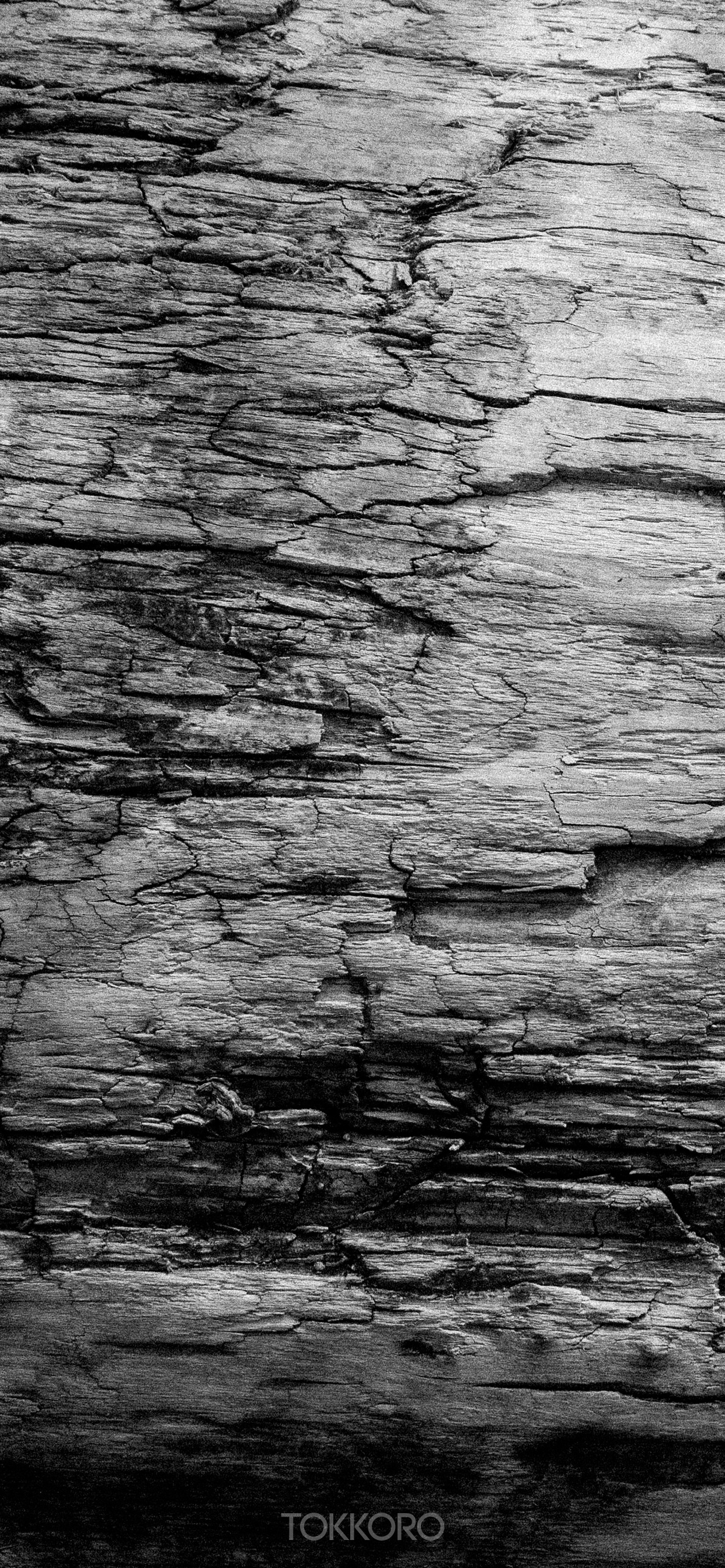Close-up of a weathered rock surface with cracks HD Phone Wallpaper