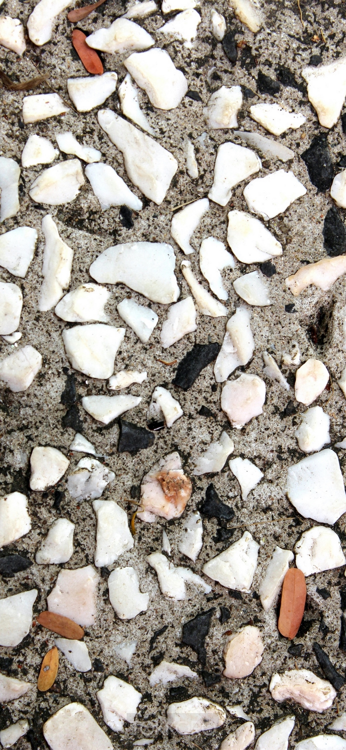 Close-up of aggregate concrete with white and black stones HD Phone Wallpaper