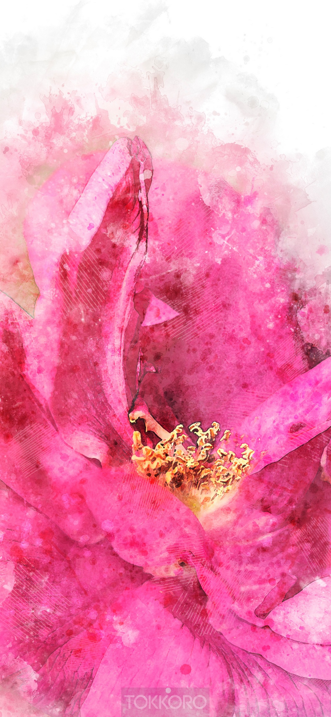 Pink flower watercolor painting HD Phone Wallpaper