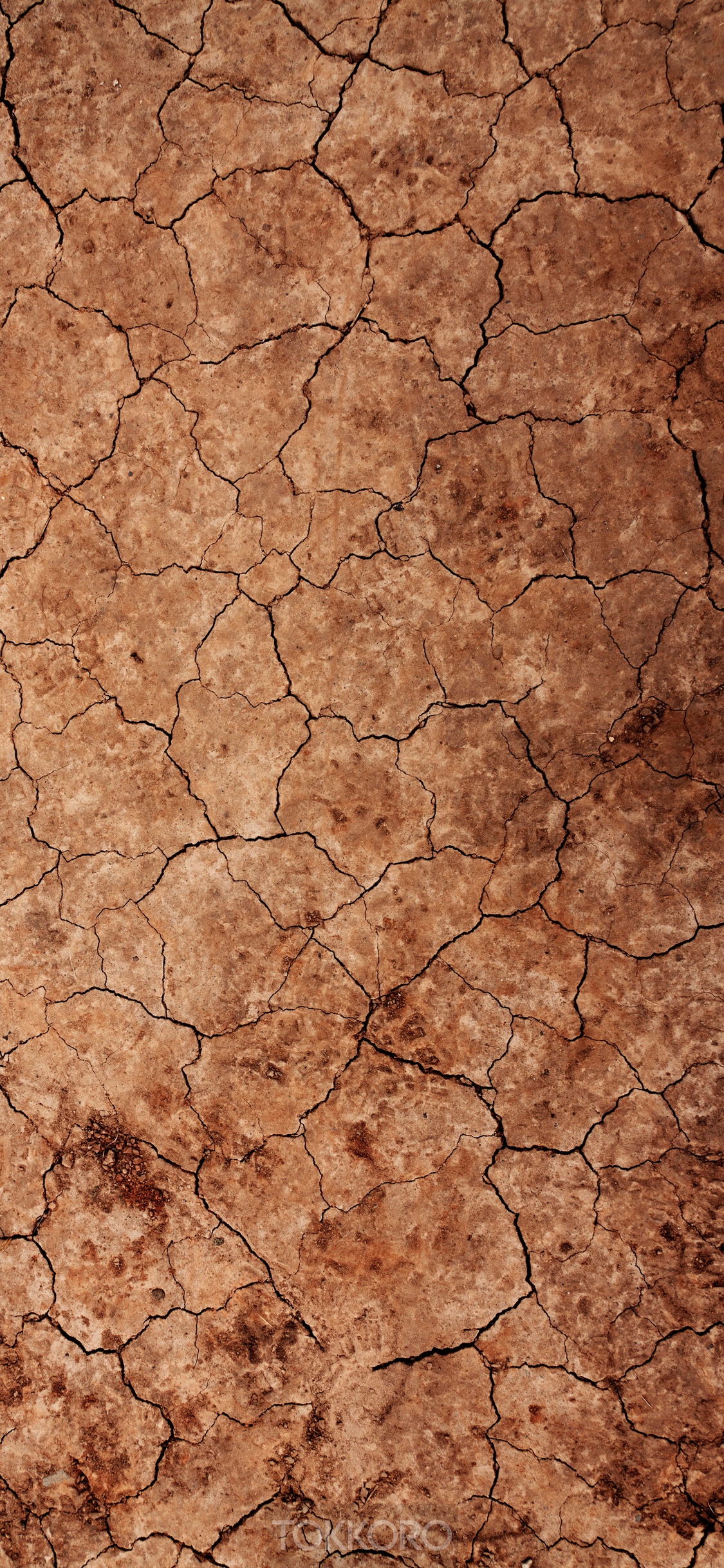 Cracked dry earth texture HD Phone Wallpaper