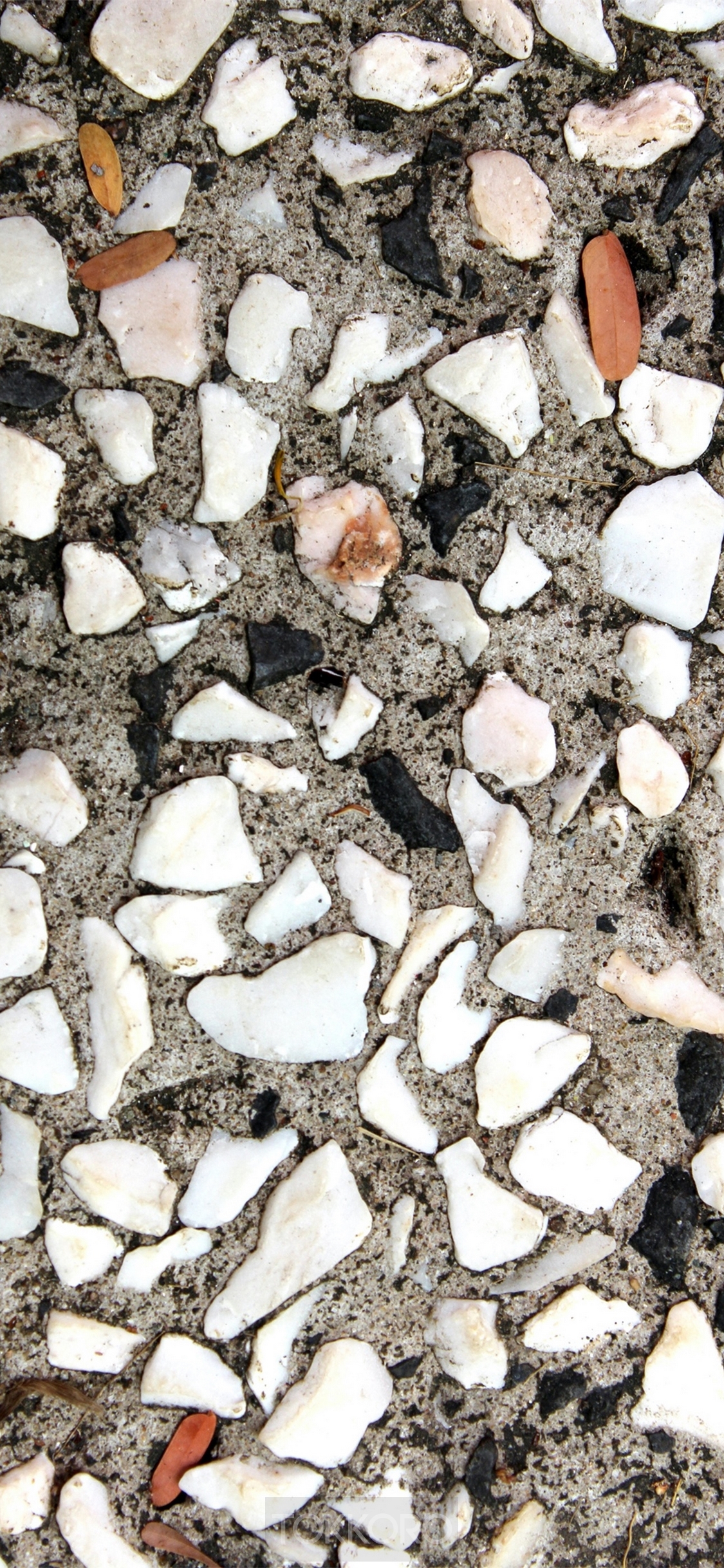 Close-up of terrazzo flooring with white and black stones HD Phone Wallpaper