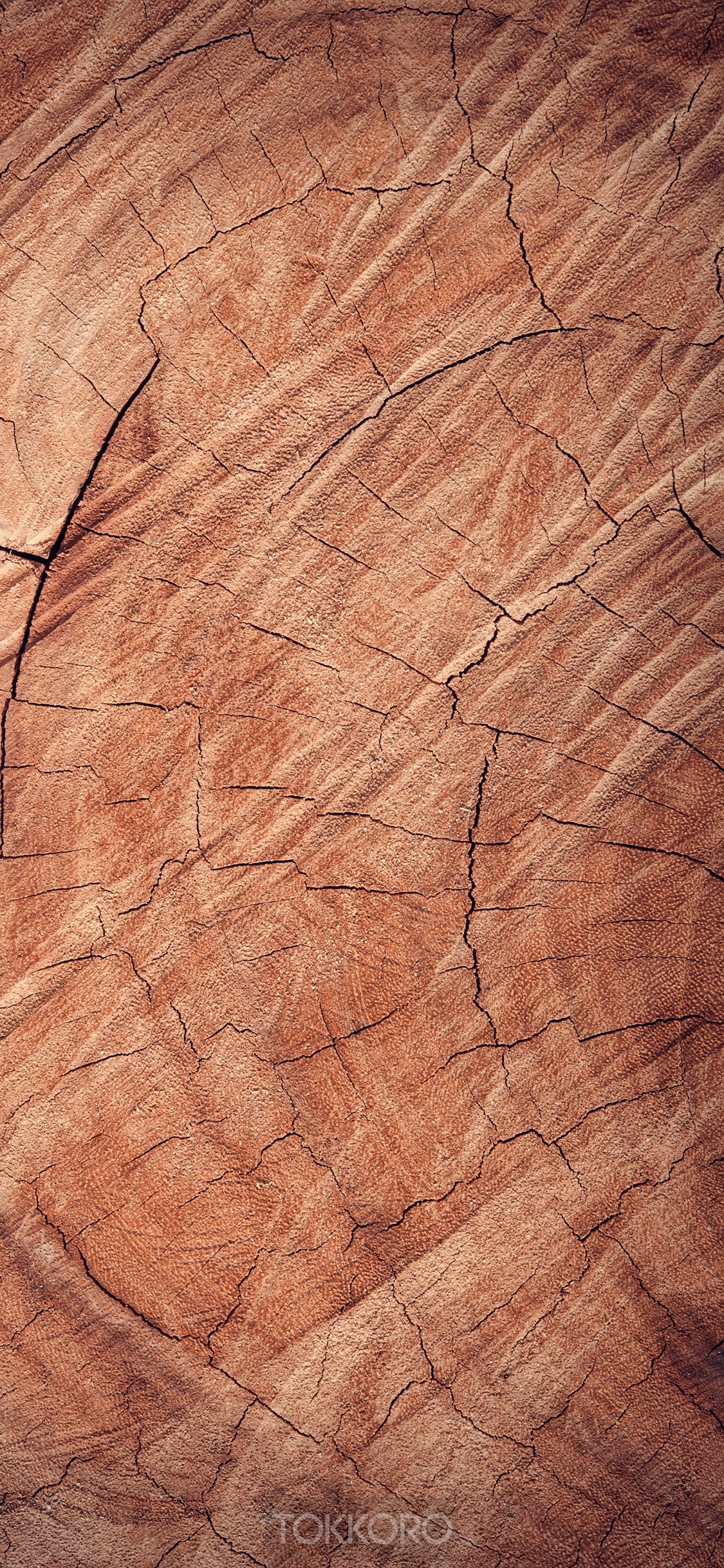 Close-up of a cracked wood texture HD Phone Wallpaper