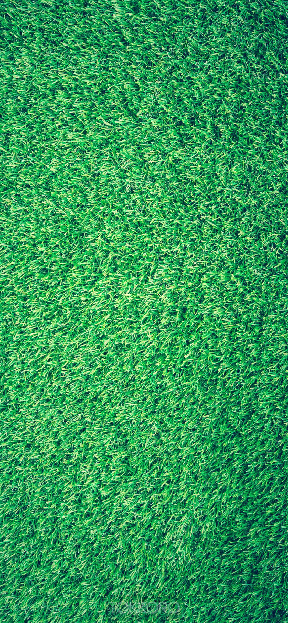 Green grass texture HD Phone Wallpaper