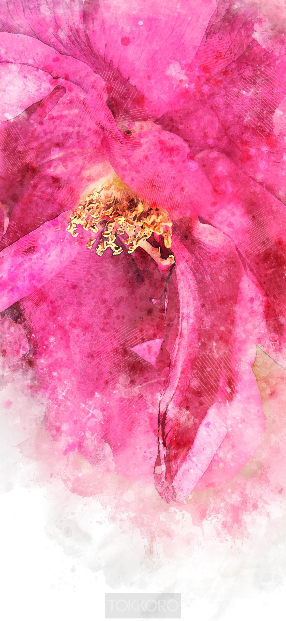 Pink flower watercolor iPhone 11 Pro screensaver HD Phone Wallpaper