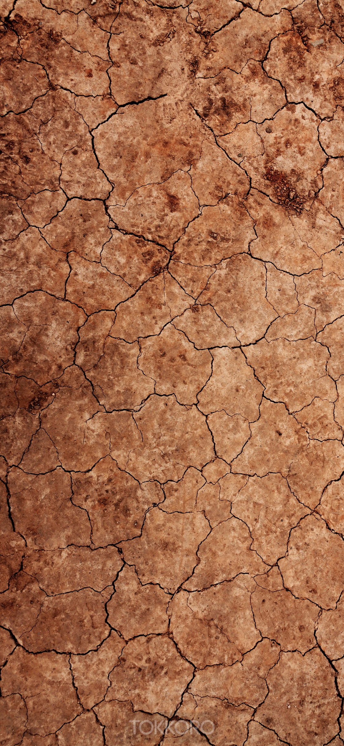 Cracked dry earth texture HD Phone Wallpaper