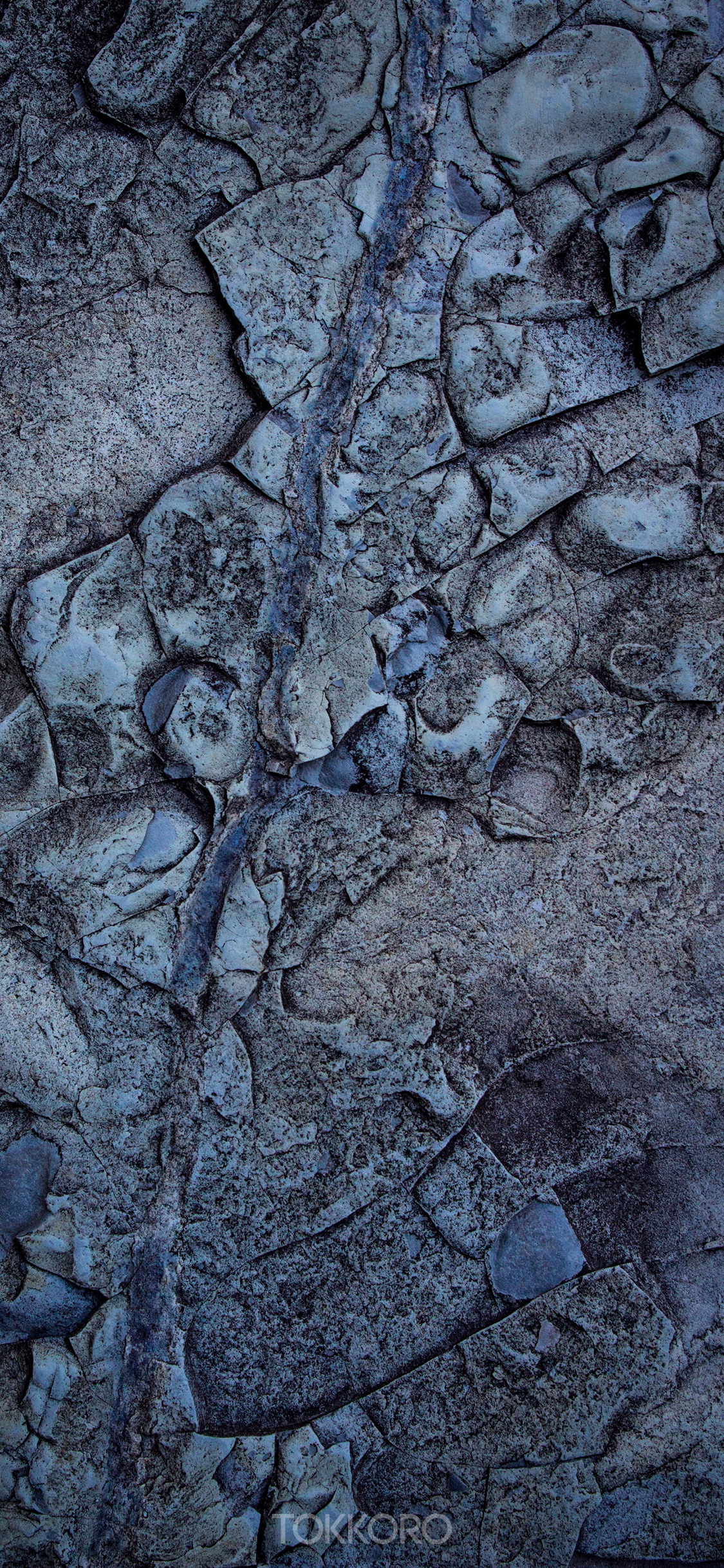 Close-up of a textured rock surface with blue and gray tones HD Phone Wallpaper