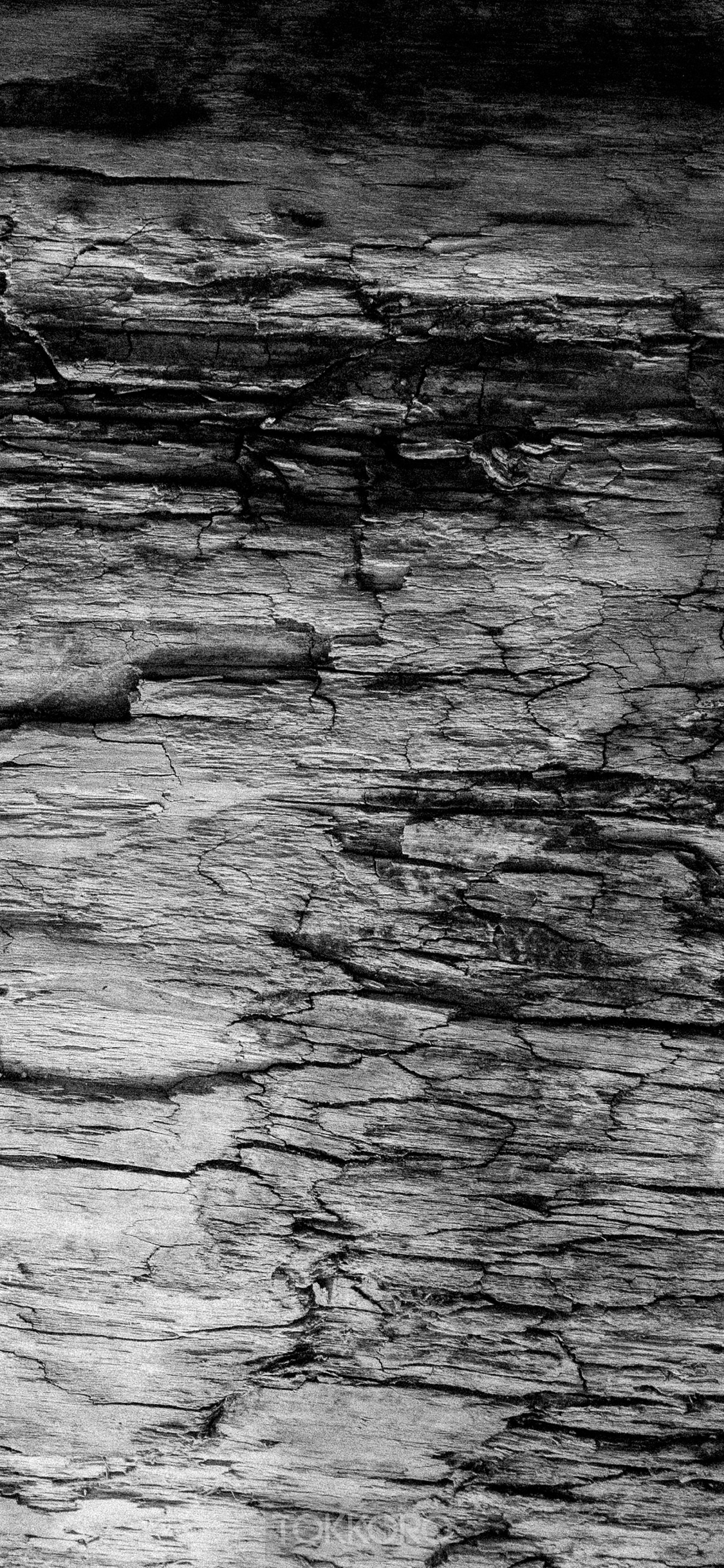 Close-up of cracked wood texture HD Phone Wallpaper