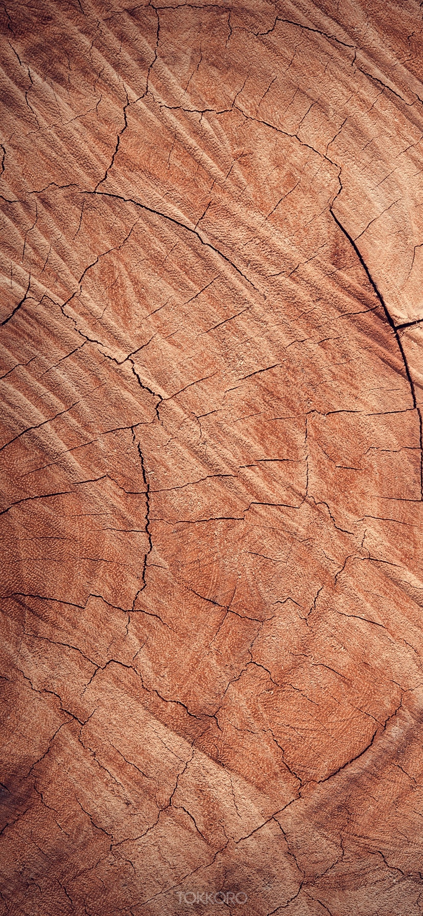 Close-up of a cracked wood texture HD Phone Wallpaper