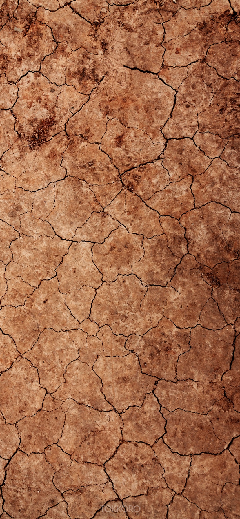 Cracked dry earth texture HD Phone Wallpaper