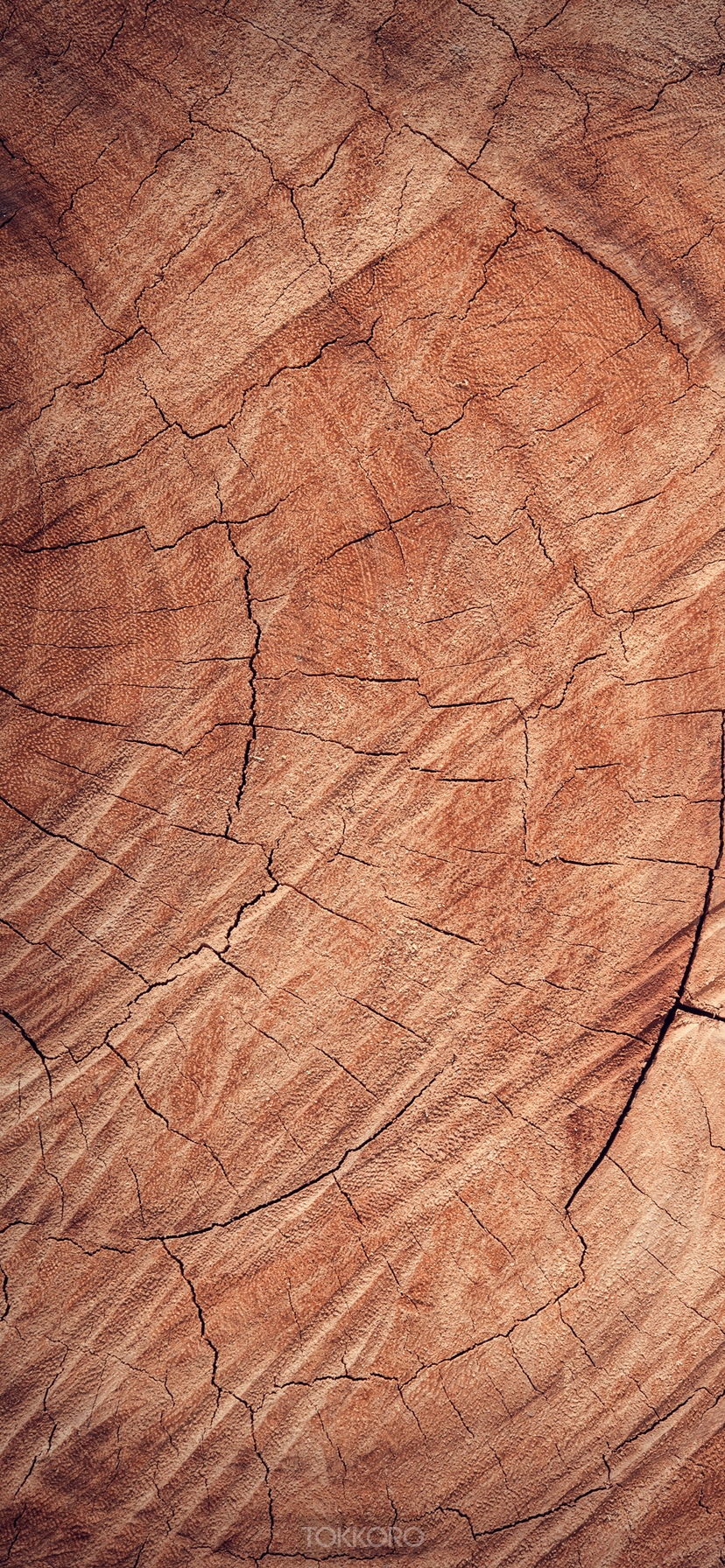 Close-up of cracked wood grain texture HD Phone Wallpaper