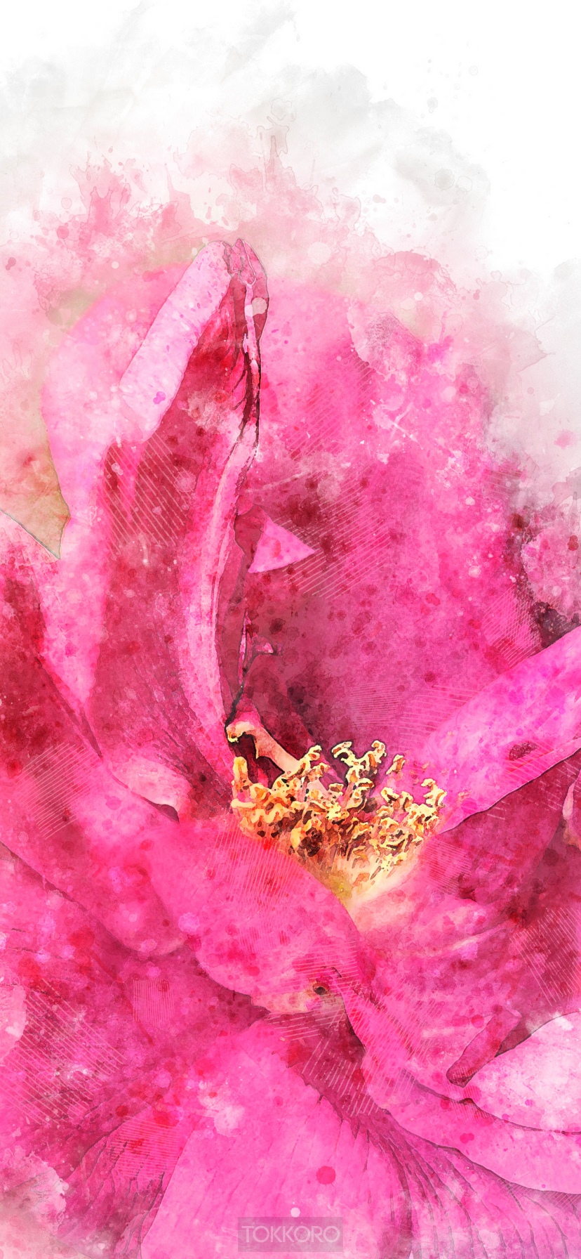 Pink watercolor rose flower macro HD Phone Wallpaper