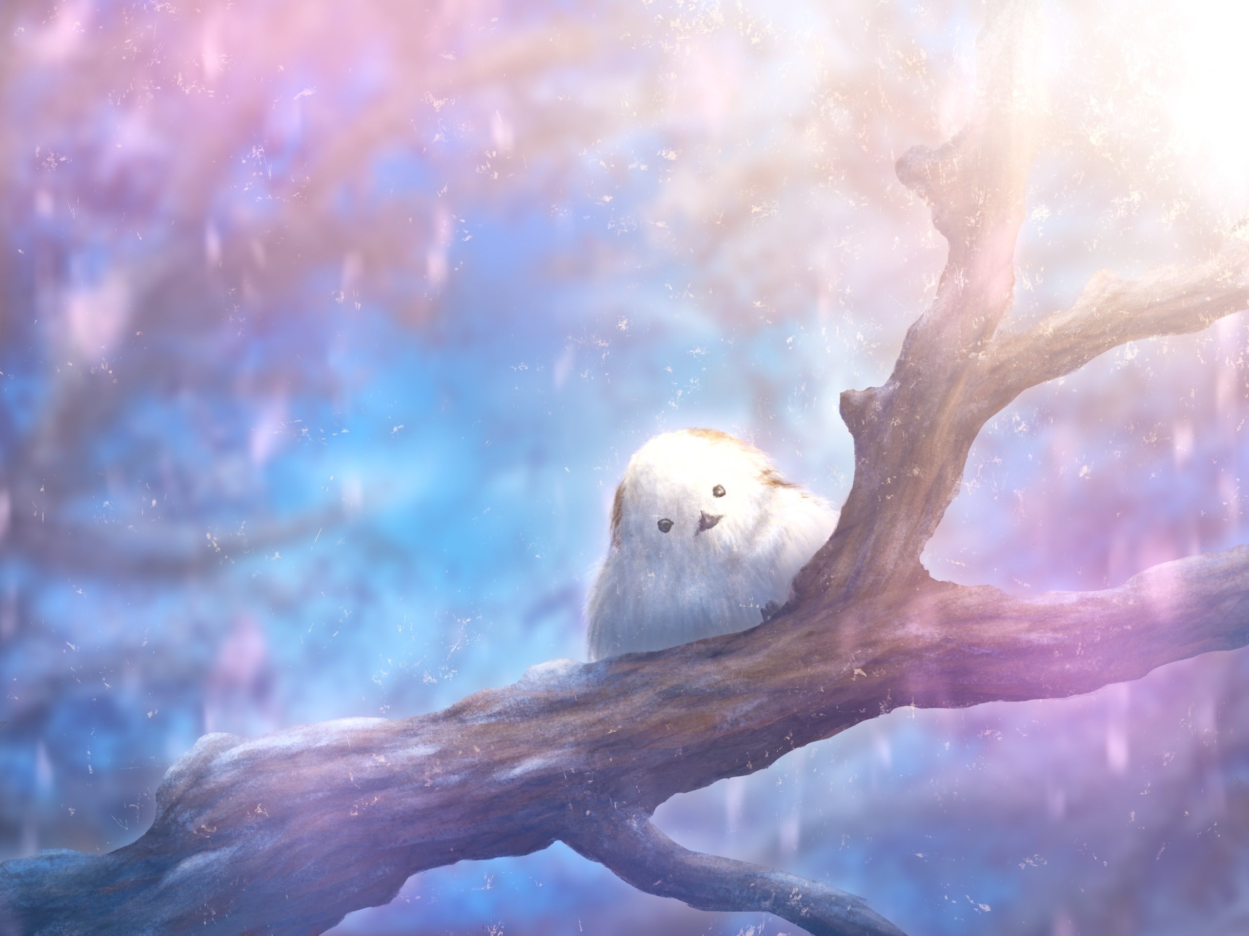 Fluffy bird on a tree branch HD Wallpaper