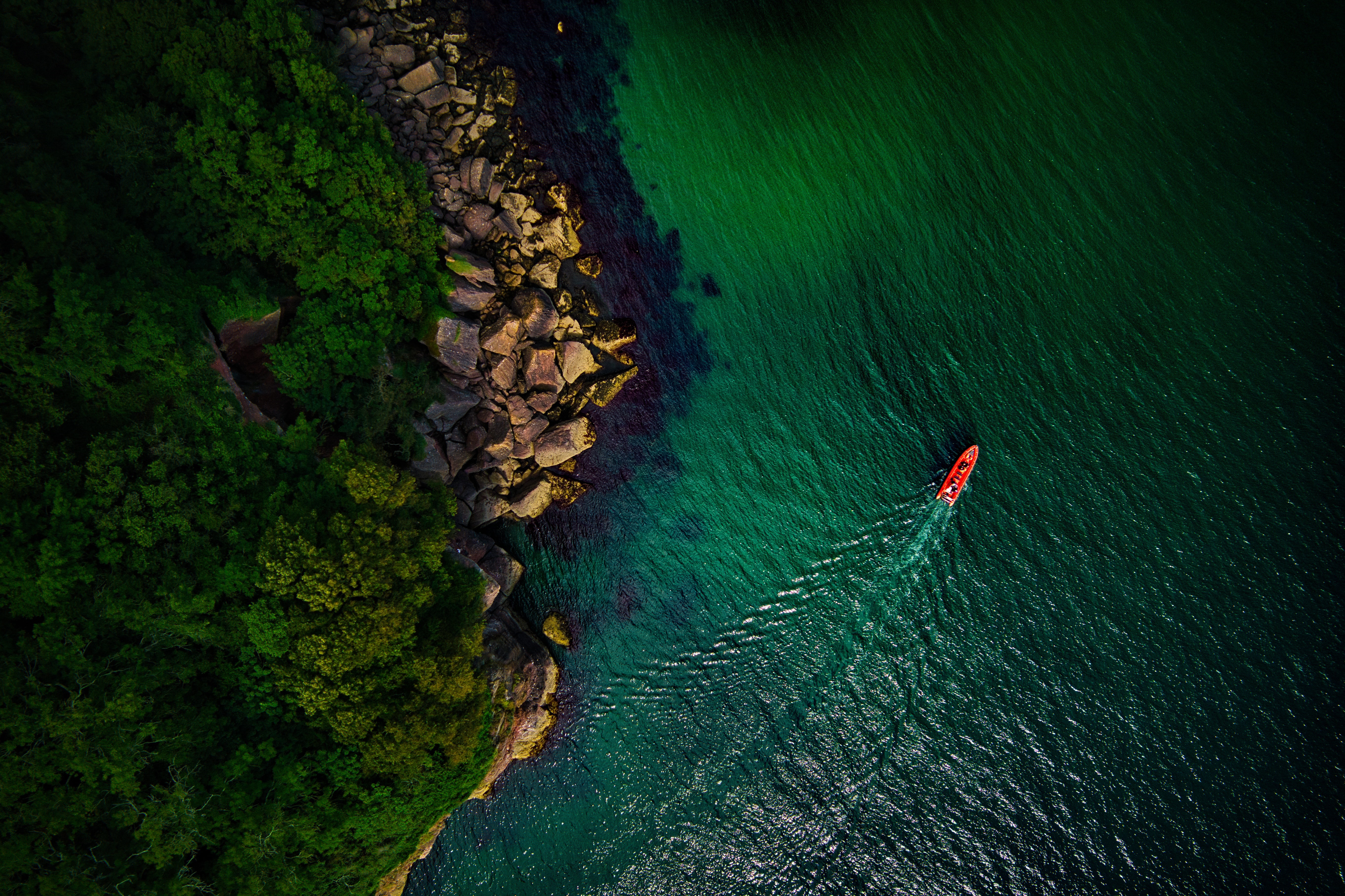 Red powerboat near rocky shore and green forest in Devon, UK HD Wallpaper
