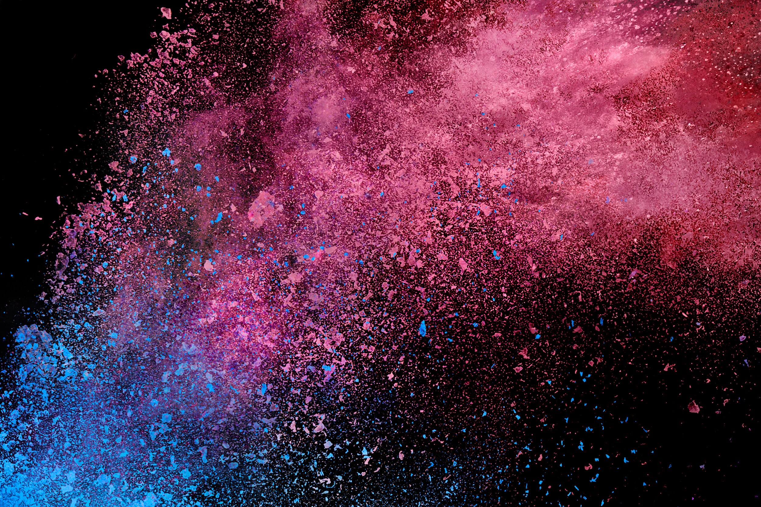 Explosion of pink and blue powder on black background HD Wallpaper
