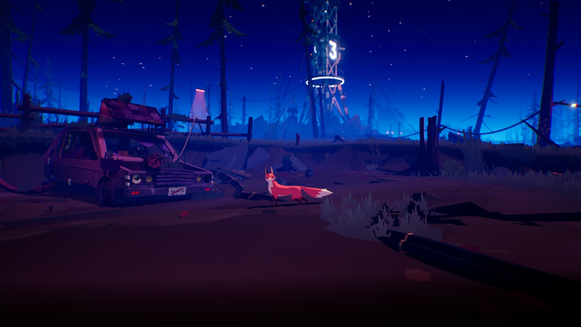 Fox in a desolate forest at night HD Wallpaper