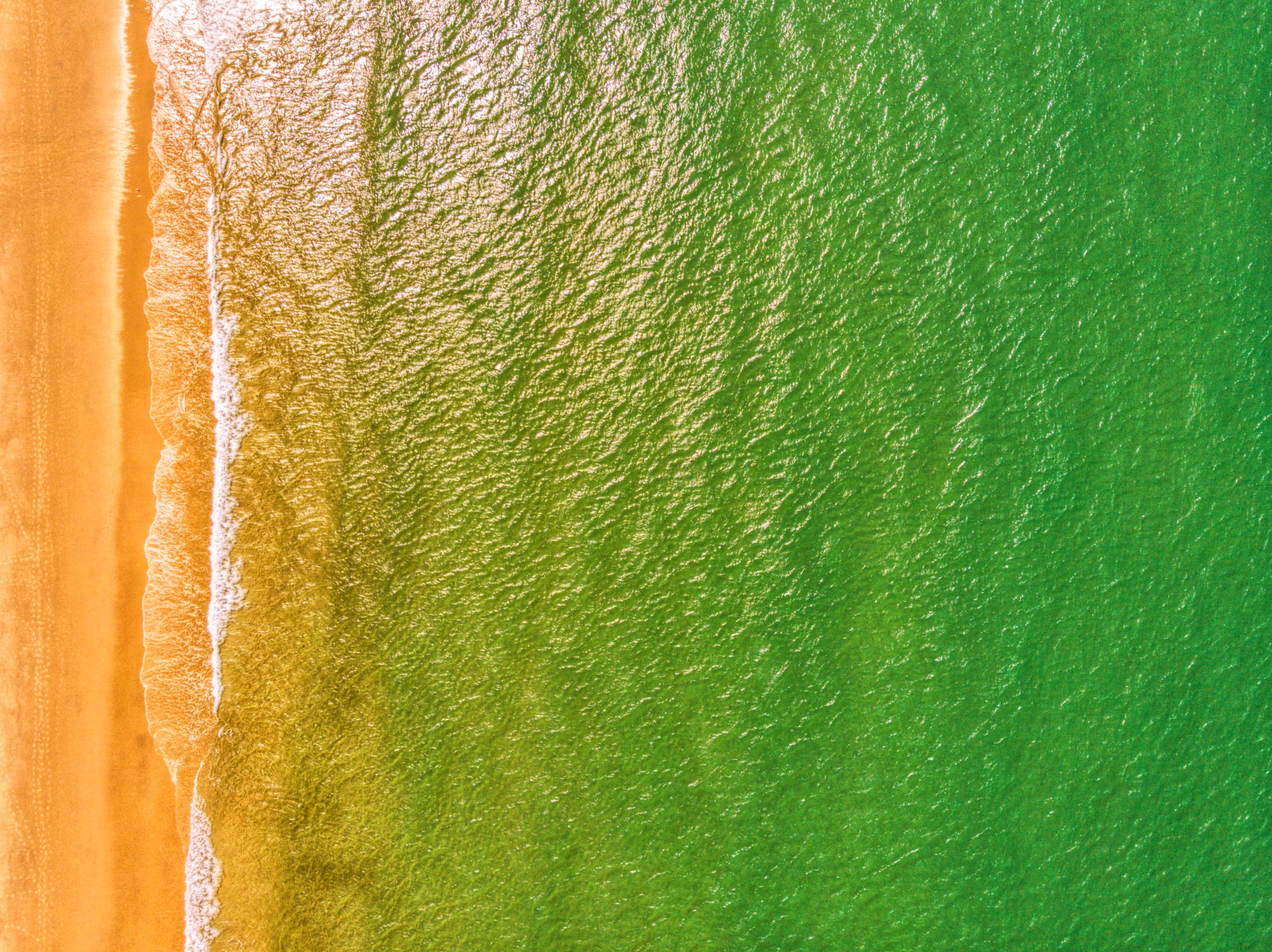 Aerial View of a Beach and Ocean HD Wallpaper