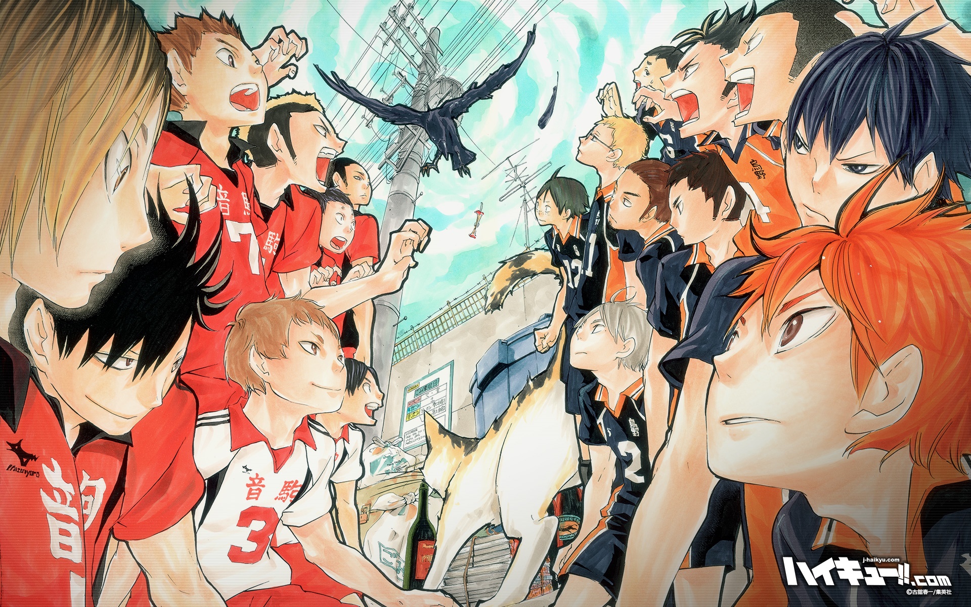 Haikyu!! Characters Confrontation with Crow HD Wallpaper