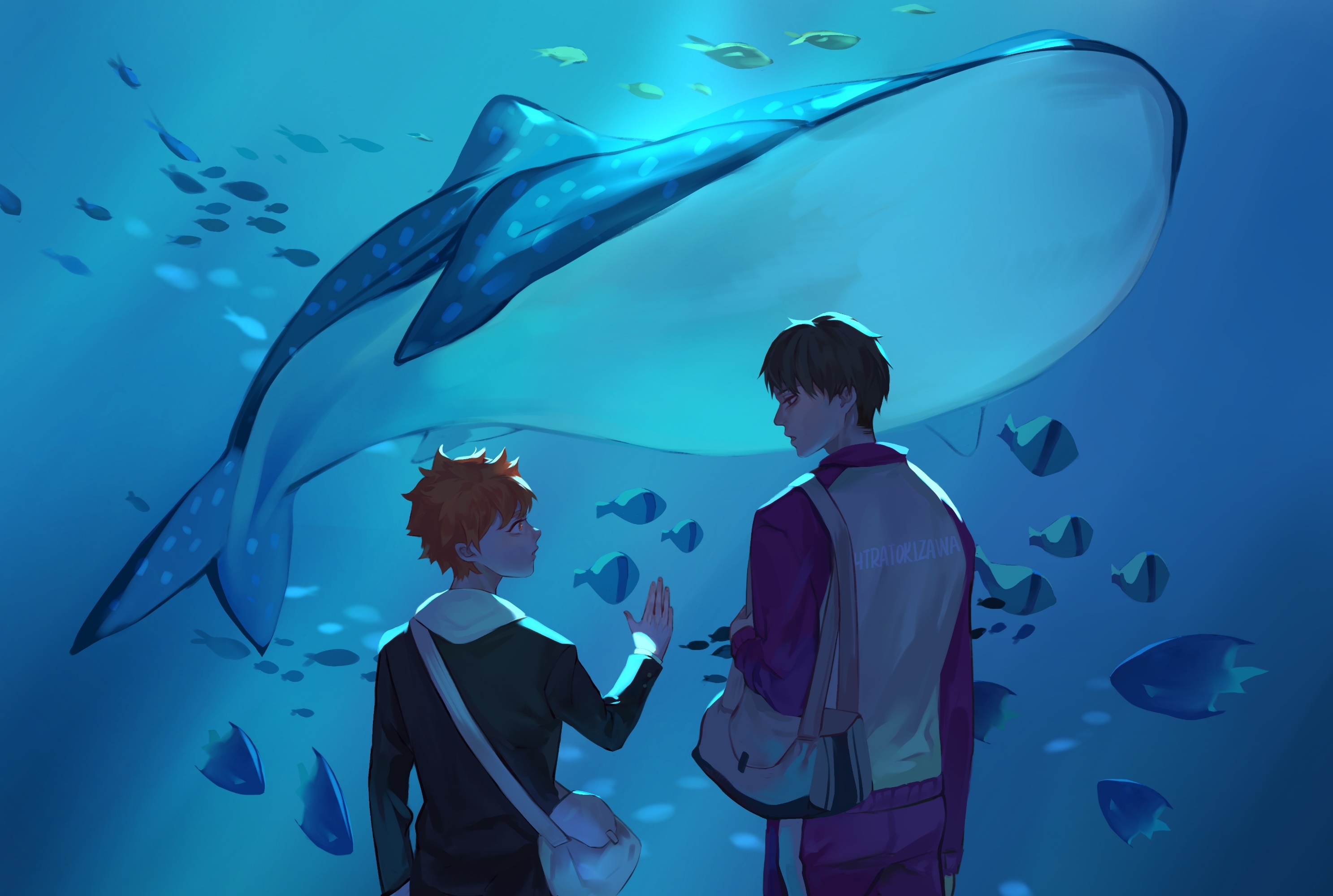Shoyo Hinata and Wakatoshi Ushijima from Haikyu!! at aquarium HD Wallpaper