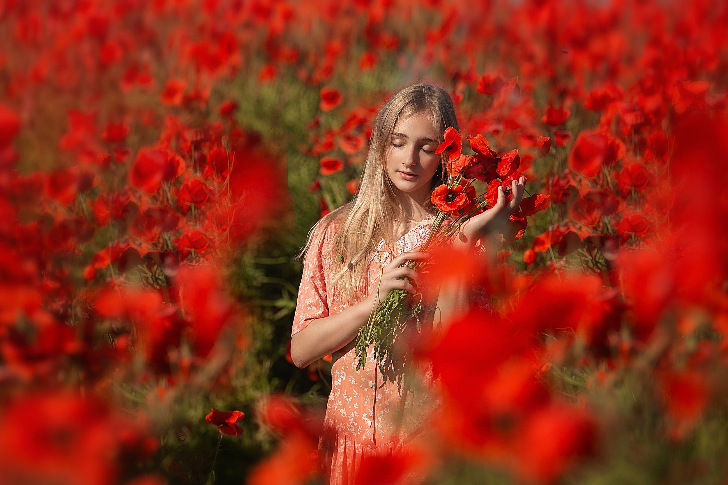 Girl in a poppy field holding flowers HD Wallpaper
