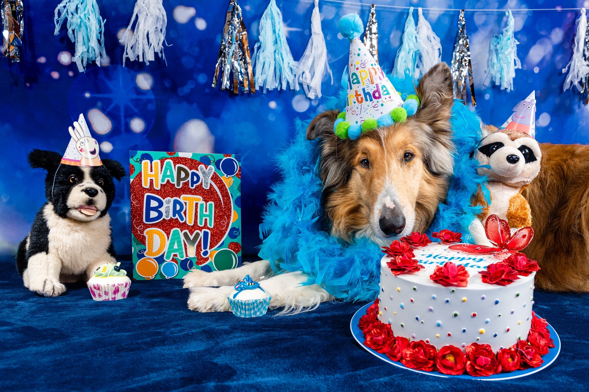 Dogs celebrating a birthday with cake and gifts HD Wallpaper