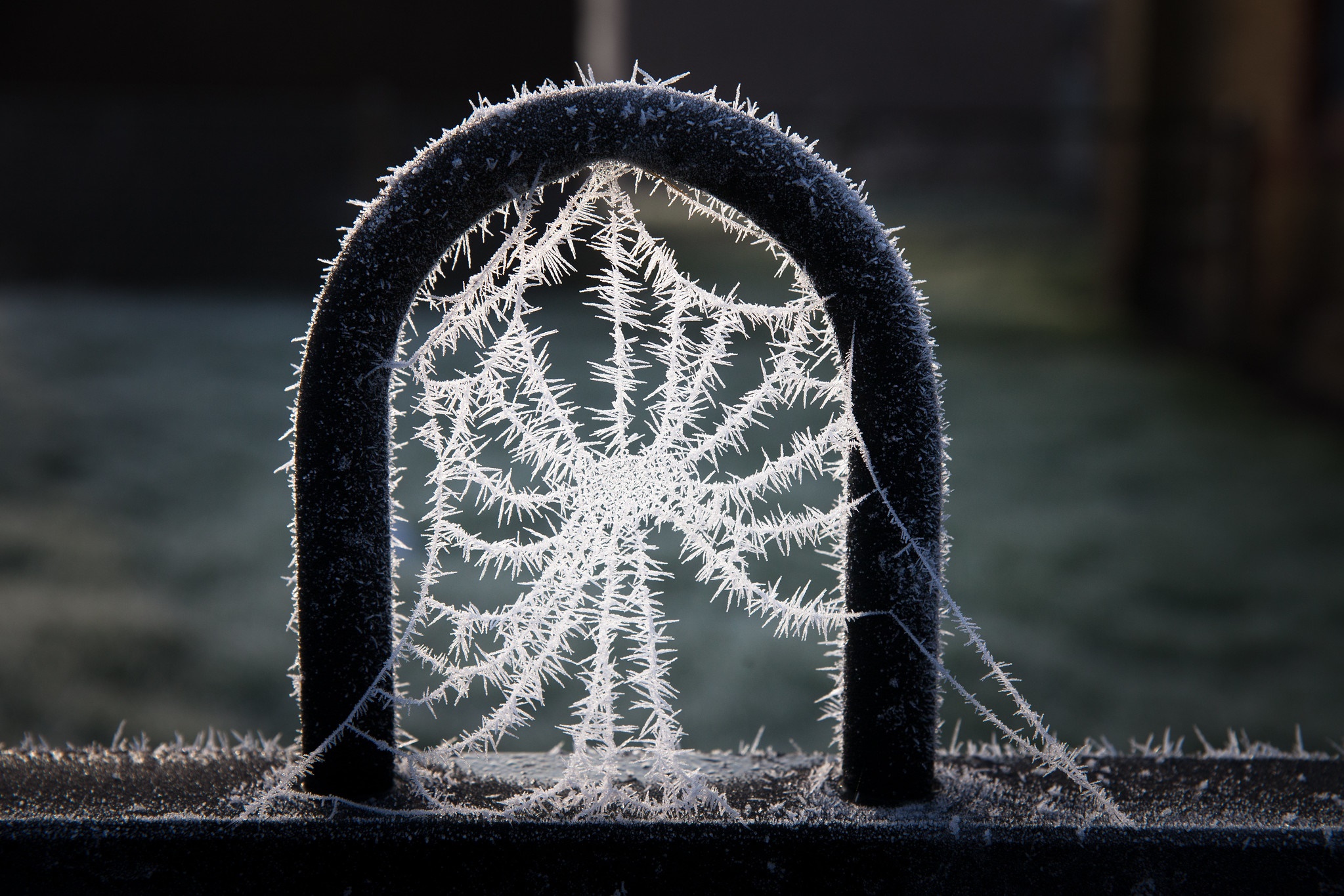 Frosty spider web on metal arch in Berkshire countryside HD Wallpaper